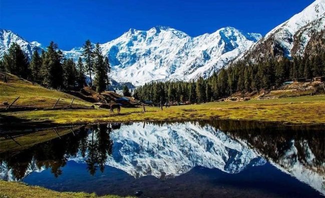 5 Days, 4 Nights Trip to Fairy Meadows