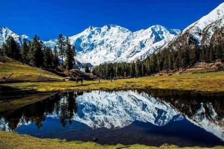 5 Days Fairy Meadows Tour (13 Pax)